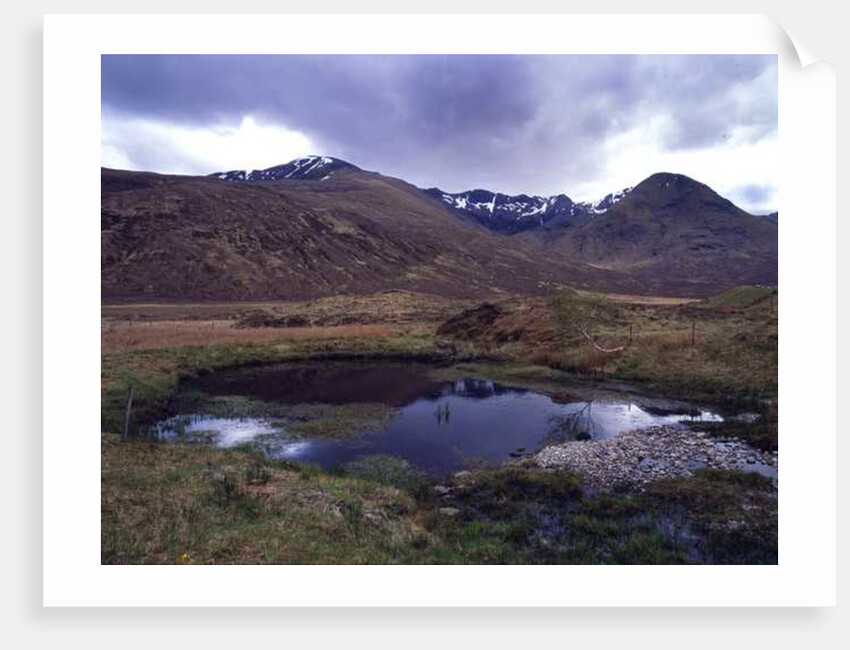 Scotland, 2013 by Carli Choi