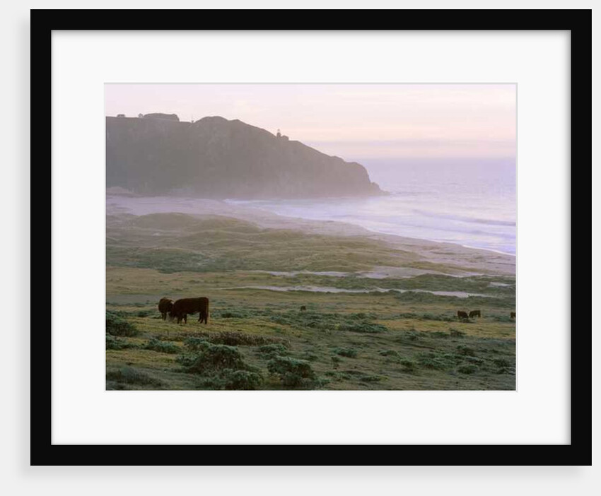 Big Sur, 2014 by Carli Choi