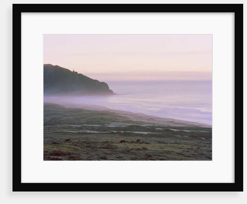 Big Sur, 2014 by Carli Choi