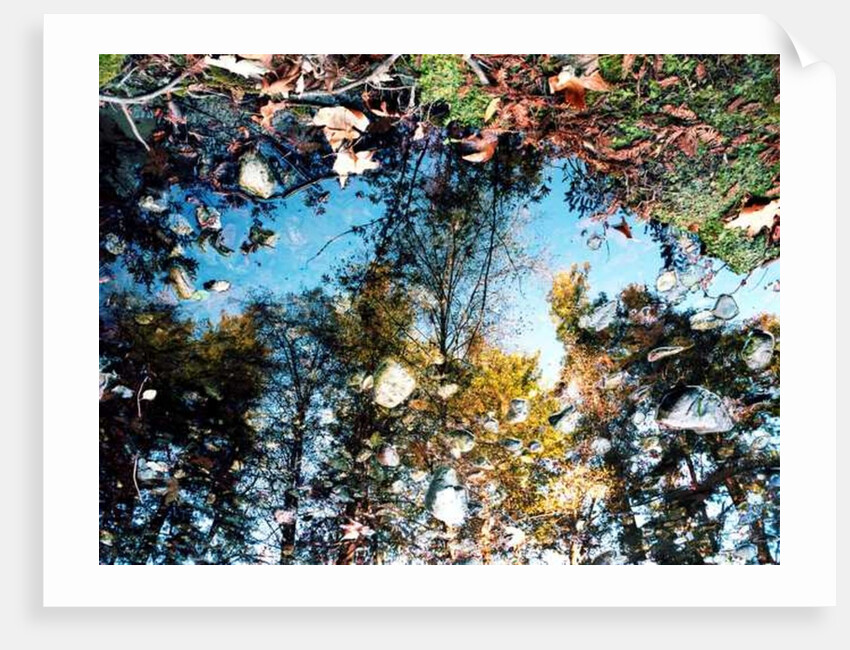 Big Sur, 2013 by Carli Choi