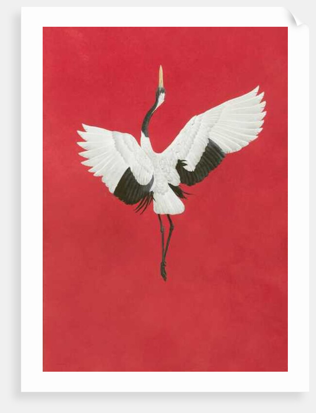 The Dance-Red by Tim Hayward