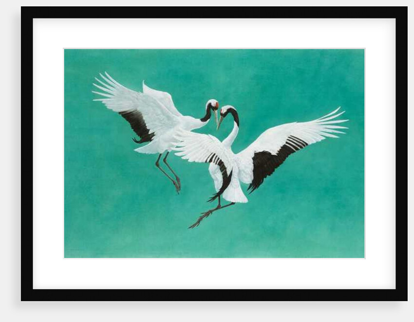 The Dance-Green by Tim Hayward