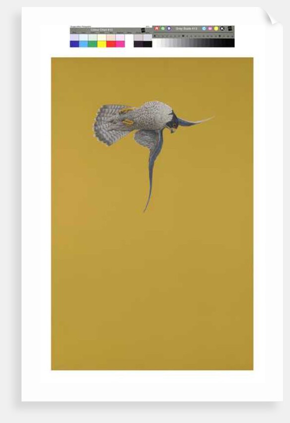 Yellow Stoop by Tim Hayward