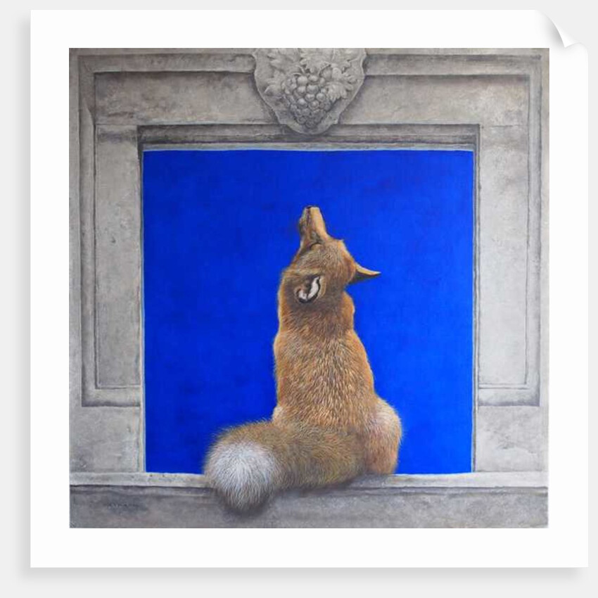 The Fox & Grapes by Tim Hayward