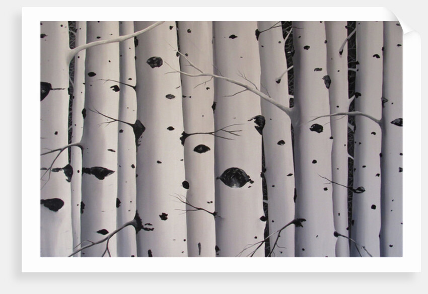 Birch Trees, 2017 by Tina Palmer