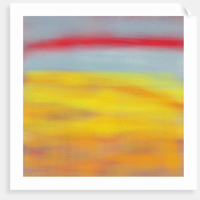 Summer fields, 2015 by Alex Caminker