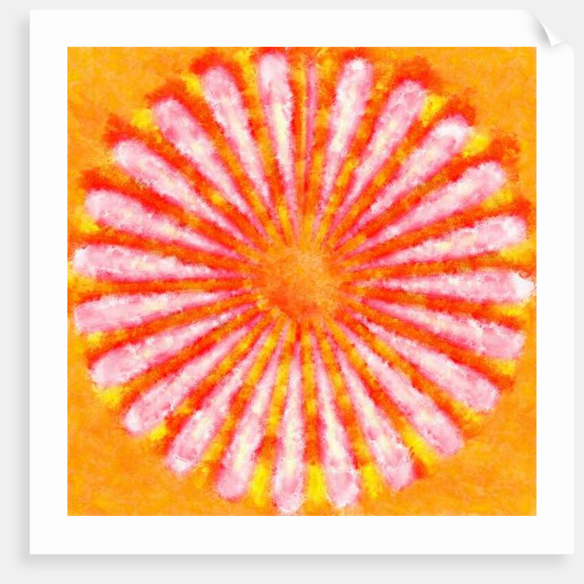 Flower, 2015 by Alex Caminker