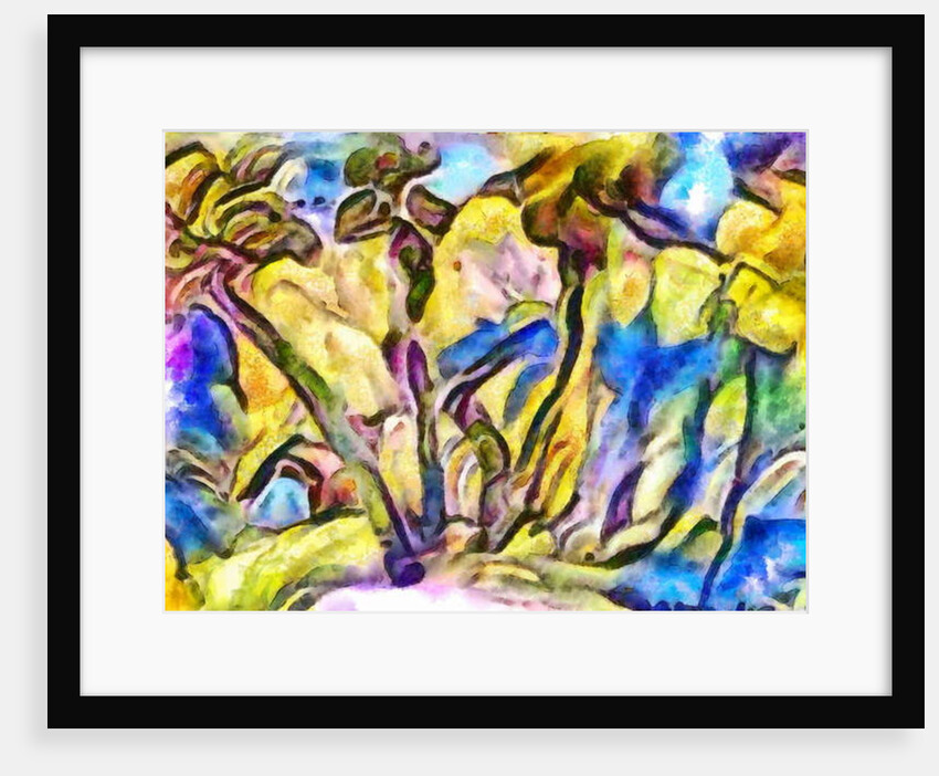 Edge of the forest, 2017 by Alex Caminker