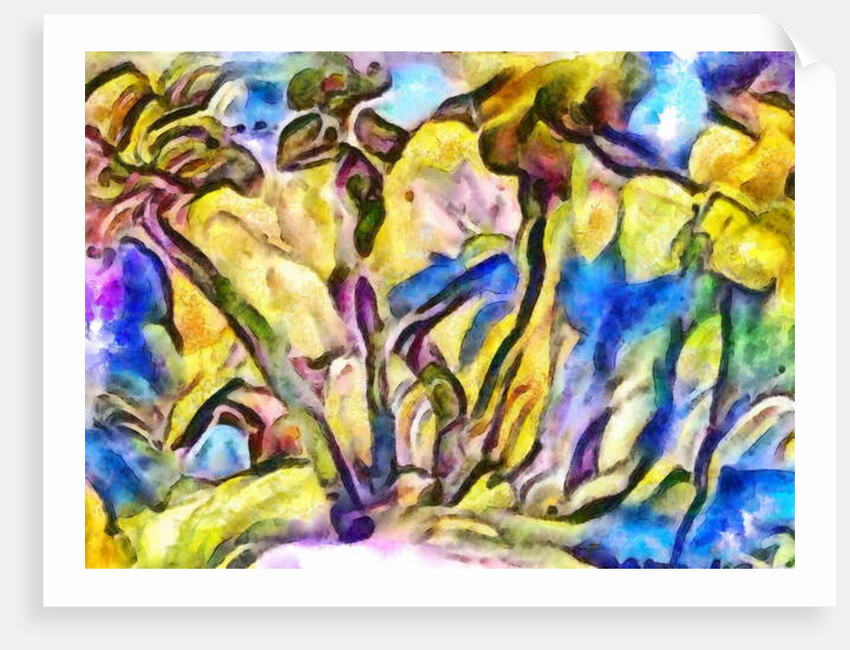 Edge of the forest, 2017 by Alex Caminker