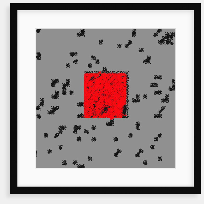 Bristles, 2017 by Alex Caminker