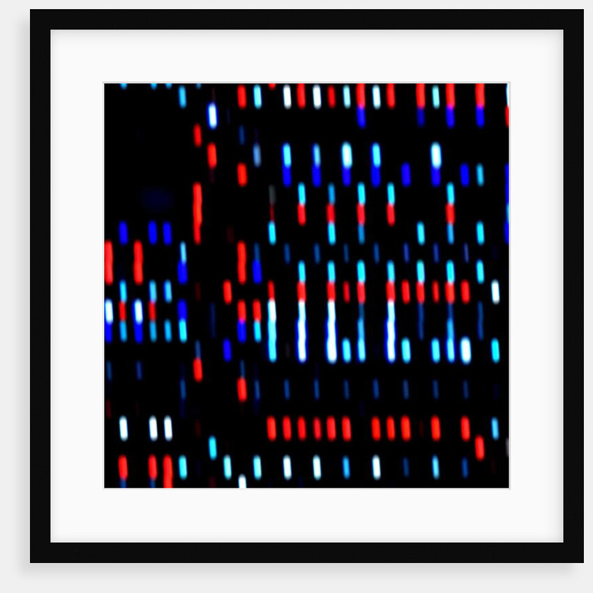 Untitled, 2017 by Alex Caminker