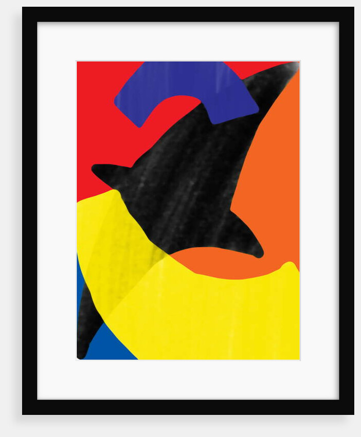 Killer whale, 2017 by Alex Caminker