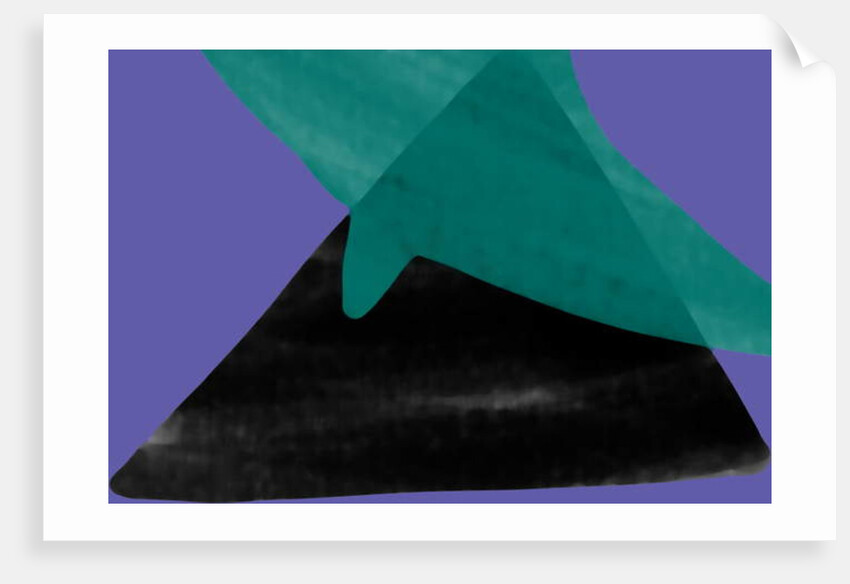 Bird as ashadow on the mountain at night, 2017 by Alex Caminker