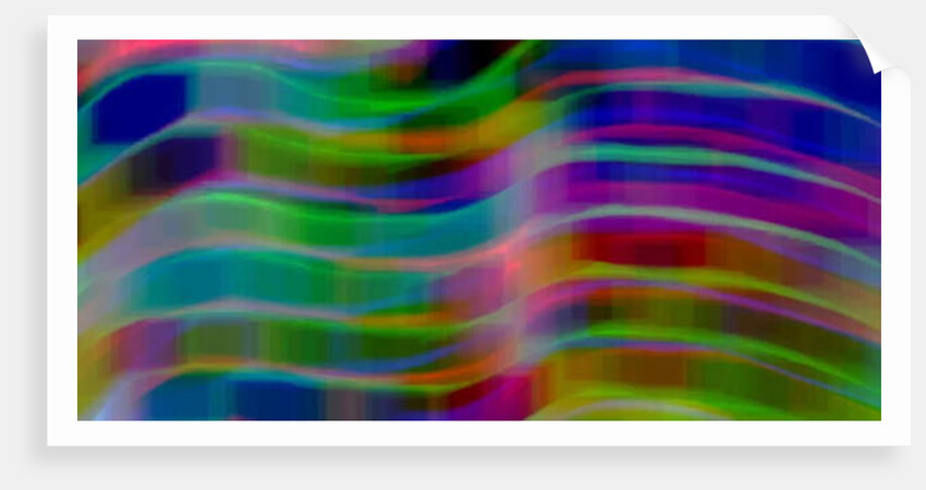 Notes in Lines, 2017 by Alex Caminker