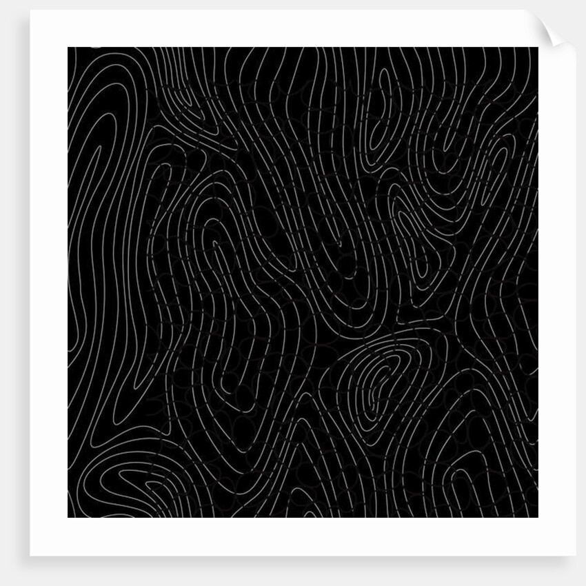 Tree rings, 2017 by Alex Caminker