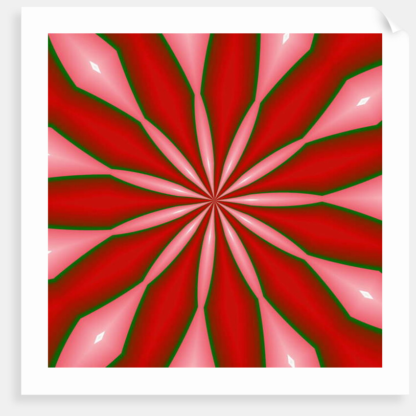 Flowers #3, 2019 by Alex Caminker