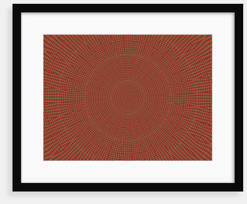 Ornament #2, 2019 by Alex Caminker