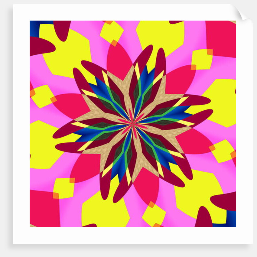 Garden flower, 2019 by Alex Caminker