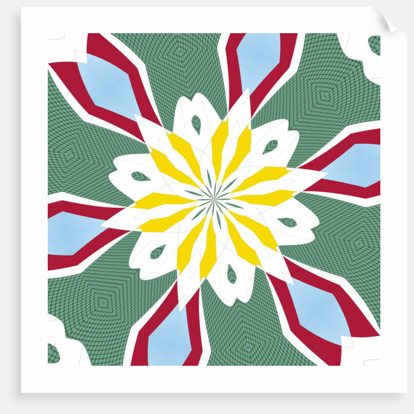 Water lily, 2019 by Alex Caminker