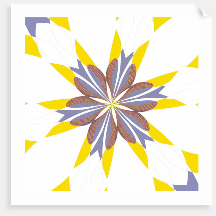 Cornflower, 2019 by Alex Caminker