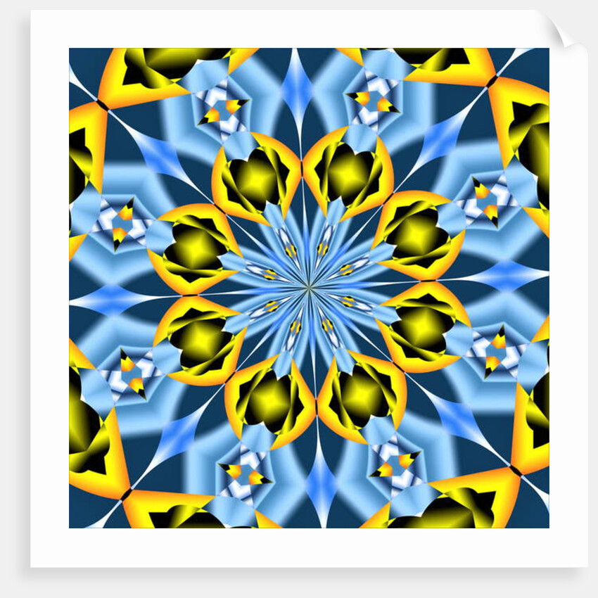 Walnut, 2019 by Alex Caminker