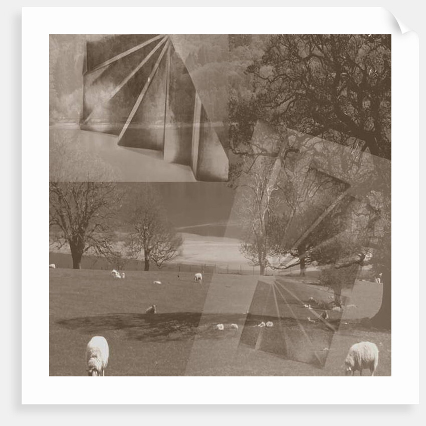 Sheep, 2019 by Alex Caminker