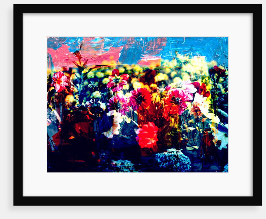 Field, 2019 by Alex Caminker