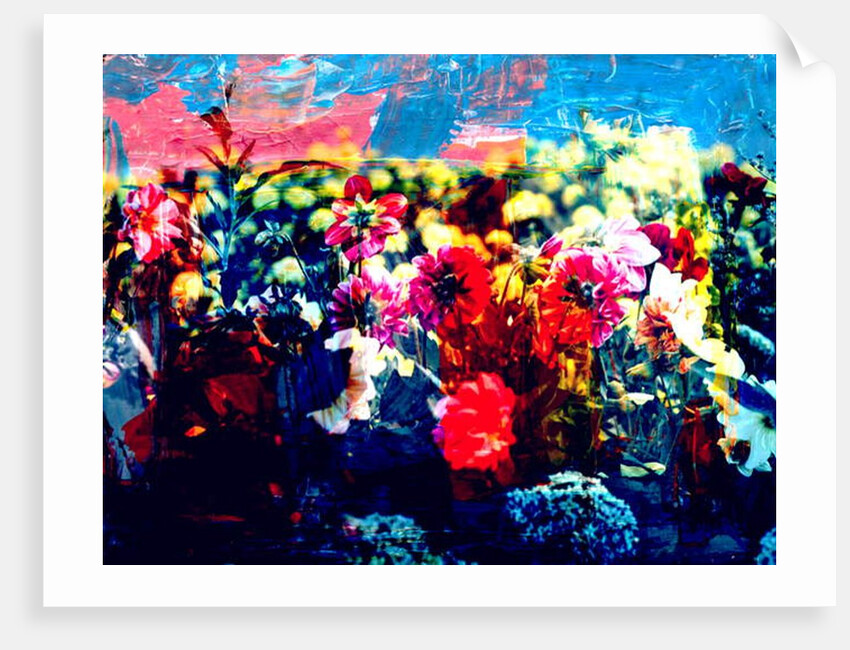 Field, 2019 by Alex Caminker