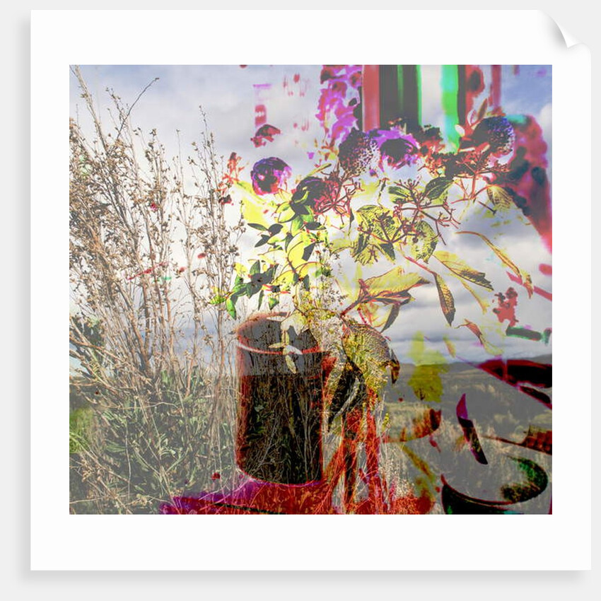 Still life, 2019 by Alex Caminker