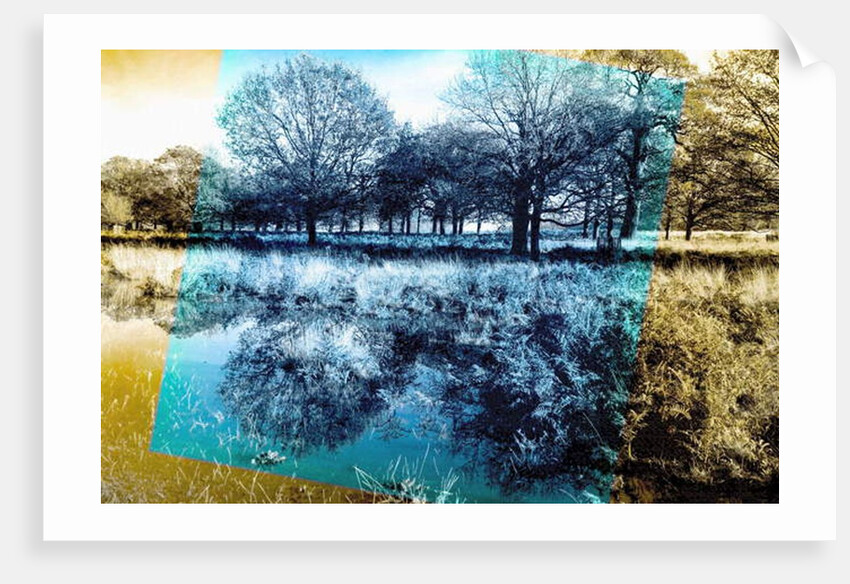 Blue Note, 2019 by Alex Caminker