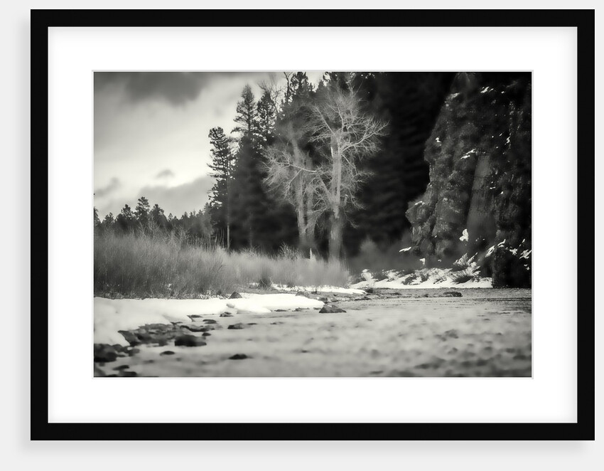 Accents, 2019 by Alex Caminker