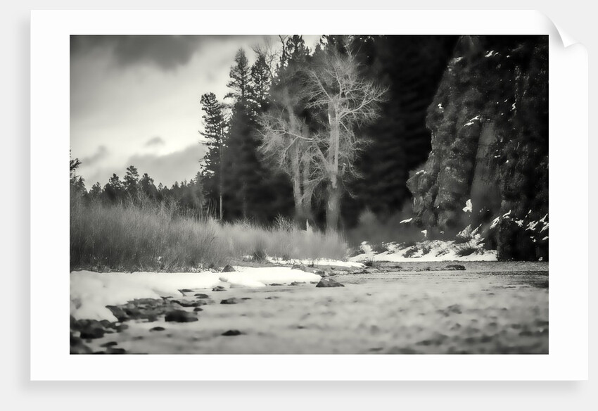 Accents, 2019 by Alex Caminker