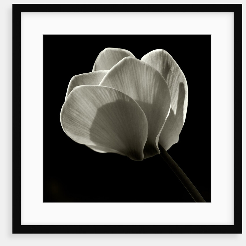 Untitled, 2019 by Alex Caminker