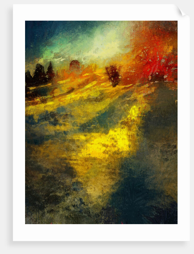 A winter afternoon at Calke Abbey, 2016 by Mark Gordon