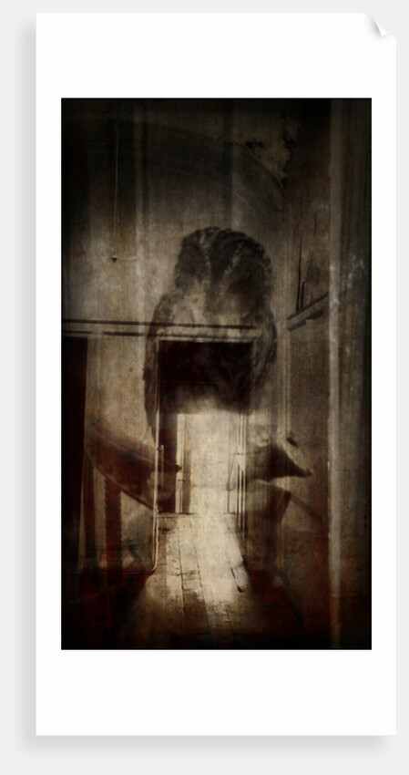 Beauty is a witch by Mark Gordon