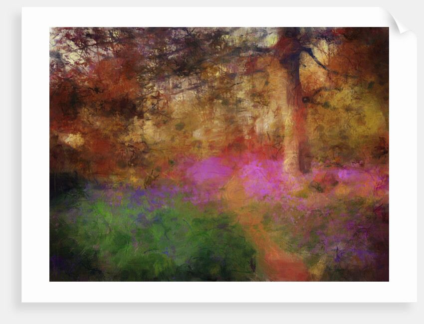 Bluebells at Calke Abbey by Mark Gordon