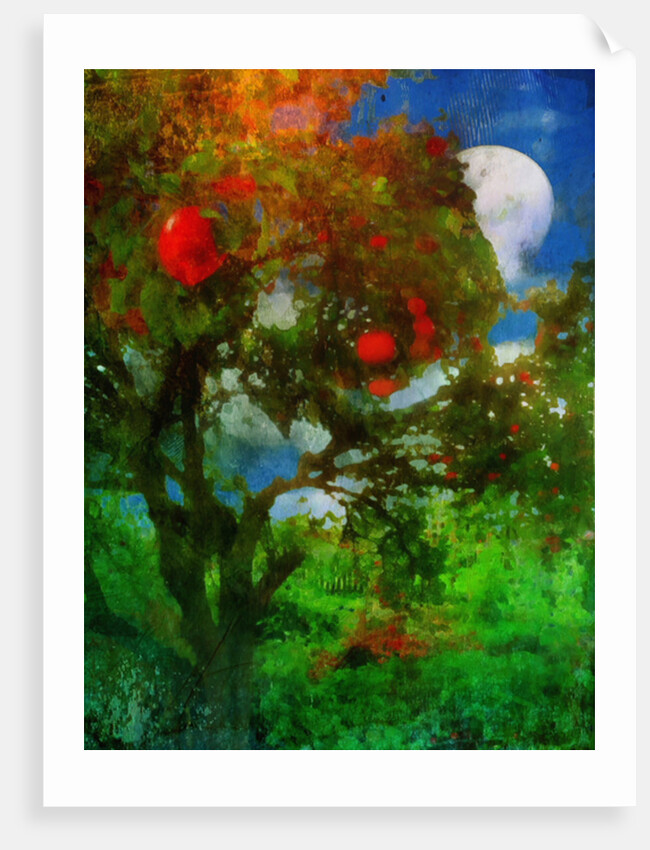 orchard in moonlight by Mark Gordon