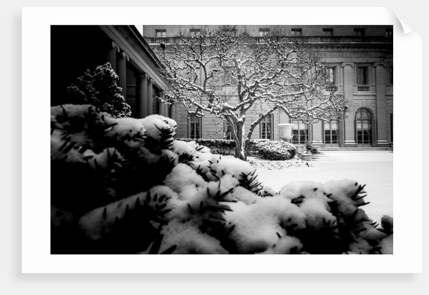 Frick Collection Winter Nº3, 2017 by Guilherme Pontes