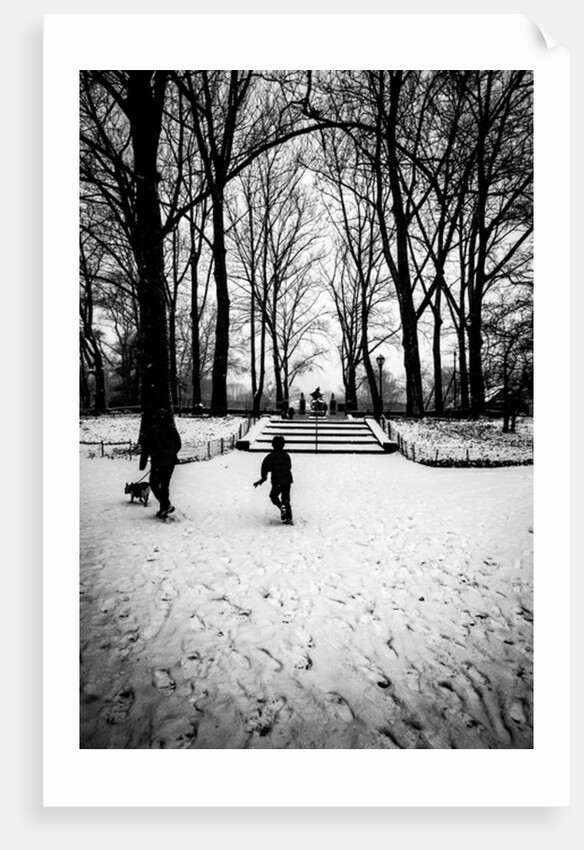 Central Park Steps, 2017 by Guilherme Pontes