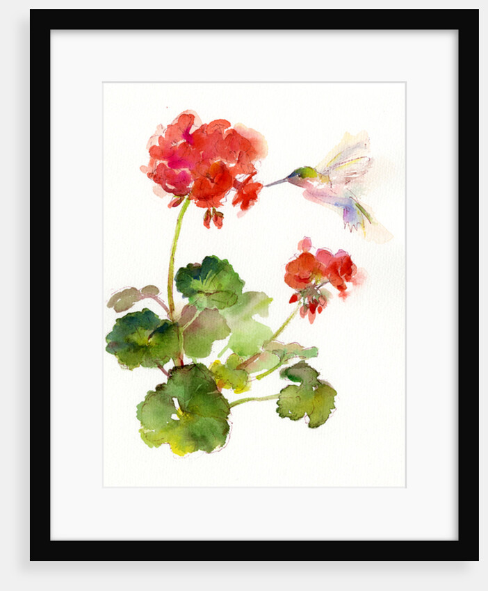 Hummingbird with Geranium, 2015 by John Keeling