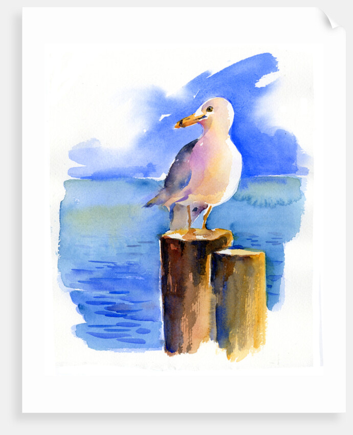 Seagull on dock, 2014, by John Keeling
