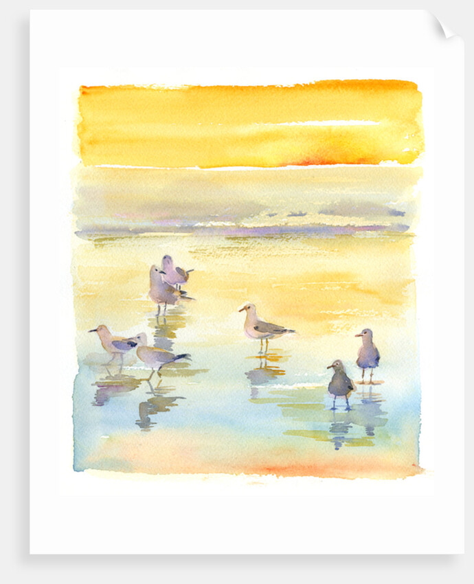 Seagulls on beach, 2014 by John Keeling