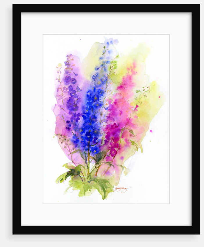 Delphinium, 2016 by John Keeling