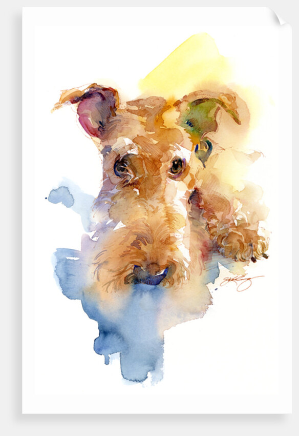 Dexter portrait, 2015 by John Keeling