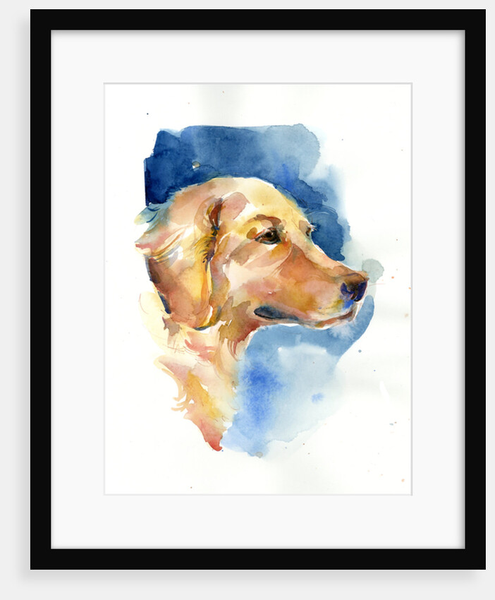 Golden Retriever, 2015 by John Keeling