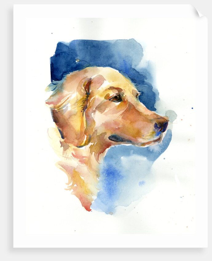 Golden Retriever, 2015 by John Keeling