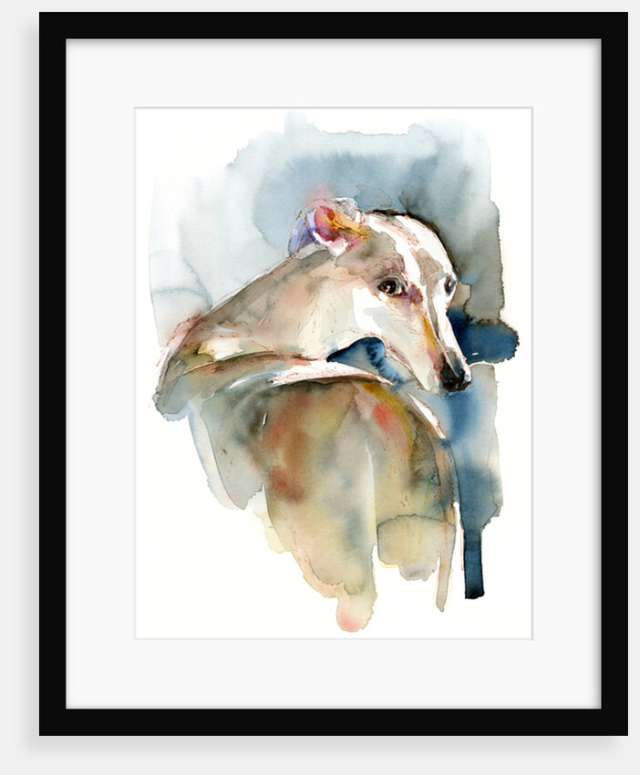 Greyhound Hope, 2016 by John Keeling