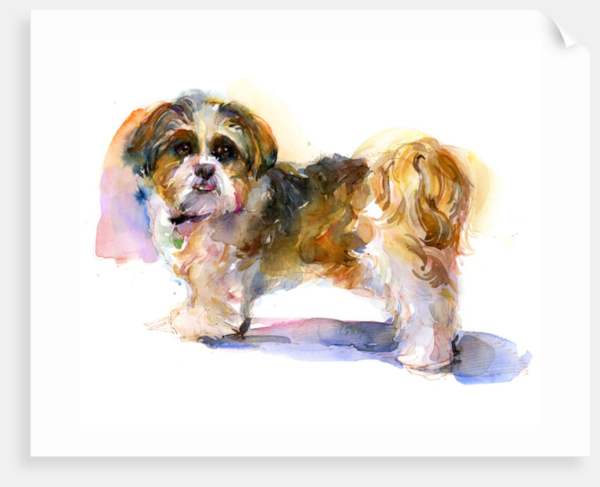 Murphy portrait, 2016 by John Keeling