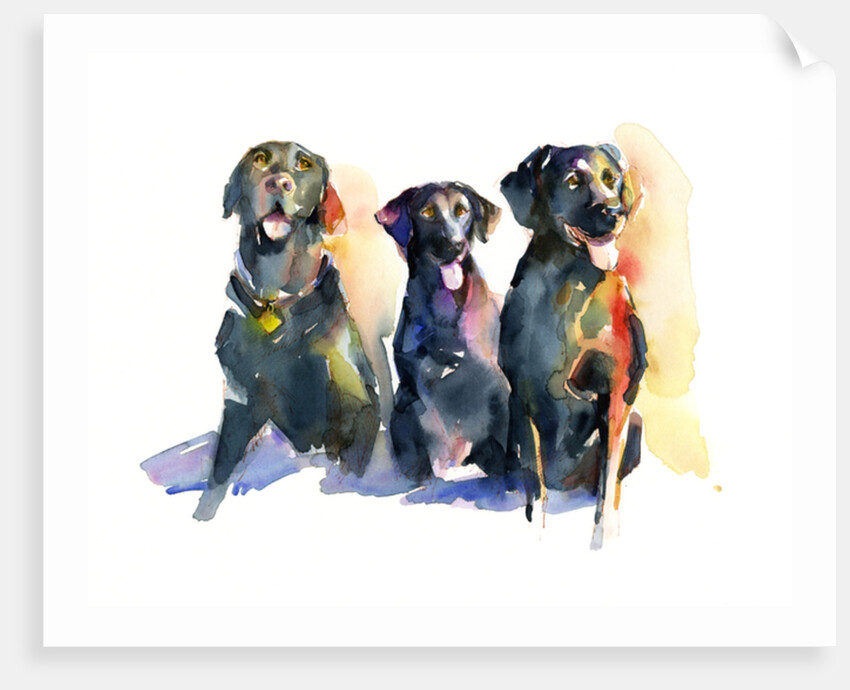 Three Black Labs, 2015 by John Keeling