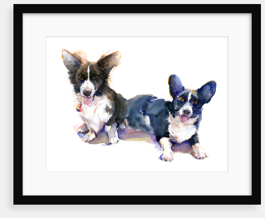 Two Corgis, 2015 by John Keeling